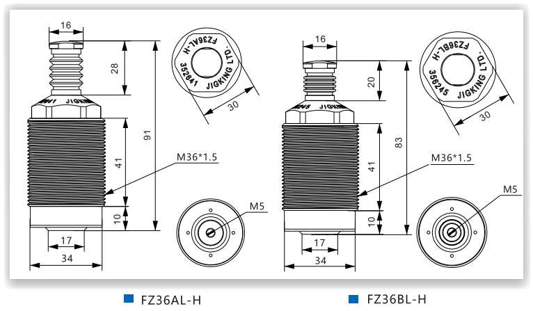 FZ36AL/BL-H高防護(hù)型支撐缸(圖7)